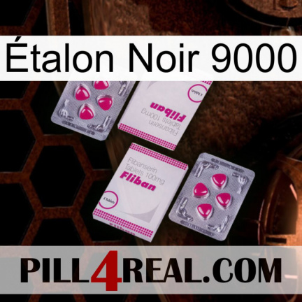 Étalon Noir 9000 33